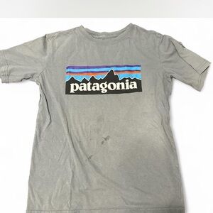 Patagonia Gray Tee with Vibrant Logo